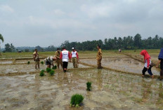 Distan Mukomuko Klaim Pupuk Subsidi Petani 2024 Terpenuhi, Tersisa 2.133 Ton Hingga Akhir Tahun 