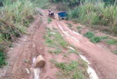 3 Paslon Bupati dan Wabup Kepahiang Beri Komitmen Bangun Jalan Langgar Jaya