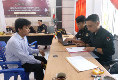 Potensi Tes PPK Membludak di Bengkulu Utara, 226 Akun Peserta Terdaftar