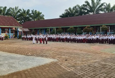 Sekitar 30 SD dan SMP di Kota Bengkulu Diusulkan Direvitalisasi 2026