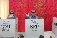 Partisipasi Pemilih Pilkada 2024 di Provinsi Bengkulu Meningkat