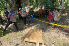 Warga Kedurang Ilir Meninggal Dunia di Kebun Belakang Rumah