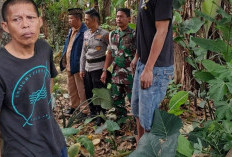  Pemuda Curup Timur Tewas di Pohon Nangka, Dugaan Gantung Diri Dipicu Karena Ini