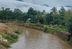 Akibat Kebiasaan BAB Sembarang, Sungai Ketahun Tercemar 