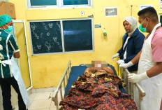 Minim Sosialisasi, Larangan Pesta Malam Perlu Tindakan Tegas