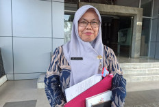  2.303 PPPK Paruh Waktu Bengkulu Utara Proses Berkas, 97 Masih Perbaiki Data