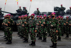 8 Faktor Ini yang Membuat TNI Disegani Militer Dunia dan Diakui  di Kancah Internasional