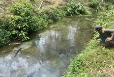 Laporan Khusus : Limbah CPO di Sungai Gasan 