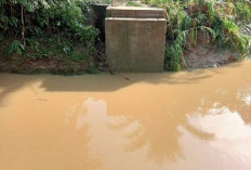 Jembatan Desa Penindaian Putus Melumpuhkan Aktivitas Masyarakat