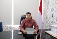 Ini Alasan KPU Provinsi Bengkulu Soal Penundaan Pleno Kecamatan di Seluma 