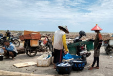 Tahun Depan, Bedah 8 Unit Pengolahan Ikan di Mukomuko Dianggarkan Rp1 Miliar Lebih 