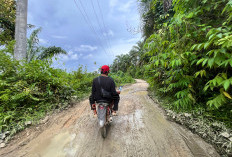 Tujuh Jalan Milik Provinsi Rusak, Masyarakat Bengkulu Selatan Minta Perbaikan