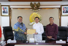 Bupati dan Ketua DPRD Minta Dukungan Ketua DPD RI