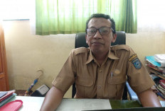 639 Honorer R-4 Bengkulu Utara Akan Diajukan jadi PPPK Paruh Waktu 