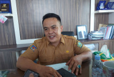 Verifikasi THLT 2 OPD, Tim Evaluasi PPPK Tahap I Temukan Ini 