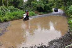 Dinas PUPR Akan Ajukan Lagi Pembangunan Jalan Lais – Arga Makmur 