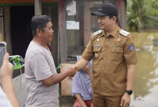 400 Korban Banjir Mulai Masuk Rumah, Bupati Bengkulu Utara Pastikan Bantuan Pangan Tersalur  