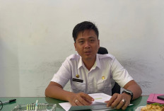 Pemkab Bengkulu Selatan Siapkan 1.165 PPPK Paruh Waktu