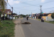  Jalan Bumi Ayu Raya Rusak Parah, Warga Minta Perbaikan Segera