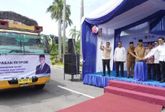 Mendag Dorong Hilirisasi Gambir Sumatera Barat demi Ekspor Bernilai Tinggi