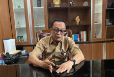 Randis Rusak Saat Digunakan Mudik Perbaiki Sendiri, Jangan Gunakan APBD