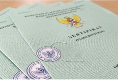 Ini Langkah dan Syarat Balik Nama Tanah Dari Orang Tua