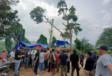 IUP Tidak Sesuai Dengan PKKPR, Nasib PT DSJ di Ujung Tanduk! 