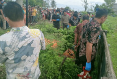 Ini Pemicu Warga Panorama Dibunuh dan Mayatnya Dibuang di Kelurahan Kandang, Berawal dari Kafe Tuak 