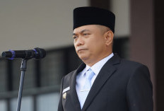 Efisiensi Anggaran! Pemkab Bengkulu Tengah Rencanakan Perampingan OPD