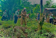 Pemkab Seluma Tanam Seribu Pohon di DAS, Dorong Gerakan Penyelamatan Lingkungan