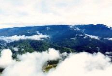 Petualangan Mendaki Puncak Keindahan Alam! Berikut 5 Gunung Tertinggi di Malaysia
