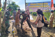 Serentak, 500 Pohon Ditanam di Padang Merbau