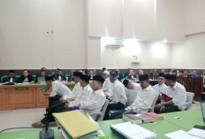 Pencairan Proyek DAK Pertanian Kaur Diduga hanya Berdasar Foto Kegiatan
