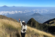 Jangan Salah Kaprah, Mendaki Gunung Bukan Aktivitas Wisata, Melainkan Olahraga Ekstrim 