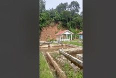 Belanja Pakan BBI Kepahiang Hanya Buang-buang Anggaran 