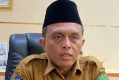 Pelamar CPNS di Pemkab Bengkulu Tengah Mencapai 2.963 Orang, 28 Formasi Nihil Pendaftar