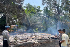 Ditinggal ke Kebun, Rumah di Ketahun Tak Bersisa Dilalap Api