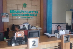Realisasi Pajak PBB 2025 Tak Capai Target