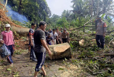 Diguyur Hujan Deras, Akses Jalan Desa di Kabupaten Kaur Sempat putus 