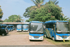 Dari Pada Terbengkalai, 10 Bus Trans Rafflesia Bakal Dihibahkan, Pemkab yang Mau, Silakan Bersurat ke Dishub