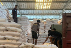 Distributor Pupuk Subsidi Nakal, Siap-Siap Izin Dicabut 
