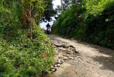 Jadi Jalur Alternatif, Warga Keluhkan Jalan Desa Susup Bengkulu Tengah Mulai Rusak