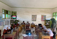 Di Kabupaten Kepahiang, 4 Formasi Tenaga Guru Ini Paling Dibutuhkan