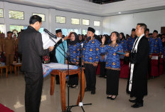 Pengajuan NI PPPK Paruh Waktu Selesai, Pekan Ini Diprediksi Sudah Terbit