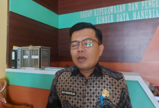 Dampak e-Materai Eror, Pendaftaran CPNS Diperpanjang Sampai Tanggal 10 September 