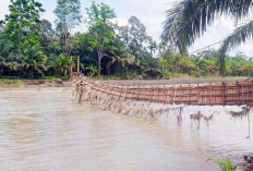 Warga Resno Harapkan Perbaikan Jembatan Akses ke Lahan Pertanian
