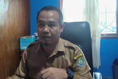 4 Calon PPPK Terancam Dicoret, Ini Penjelasan BKDPSDM Kabupaten Kaur 