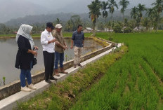 Stok CBP Lebong Cukup Sampai Februari 2026, Alami Surplus Cukup Signifikan