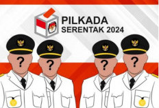 Pasca Duet PAN-Nasdem, Mungkinkah Pilwakot Bengkulu 2024 Diikuti 5 Paslon? Ini Hitung-hitungannya