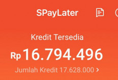 Pembiayaan PayLater Di Indonesia Meningkat Pesat